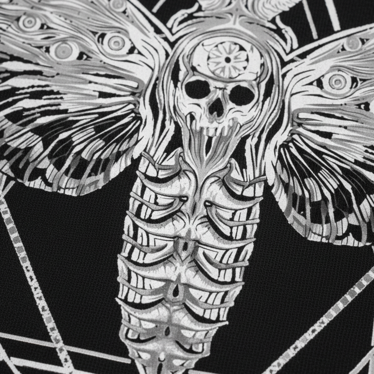 The Moth